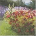 /album/krajinky/lucne-kvety-jpg/